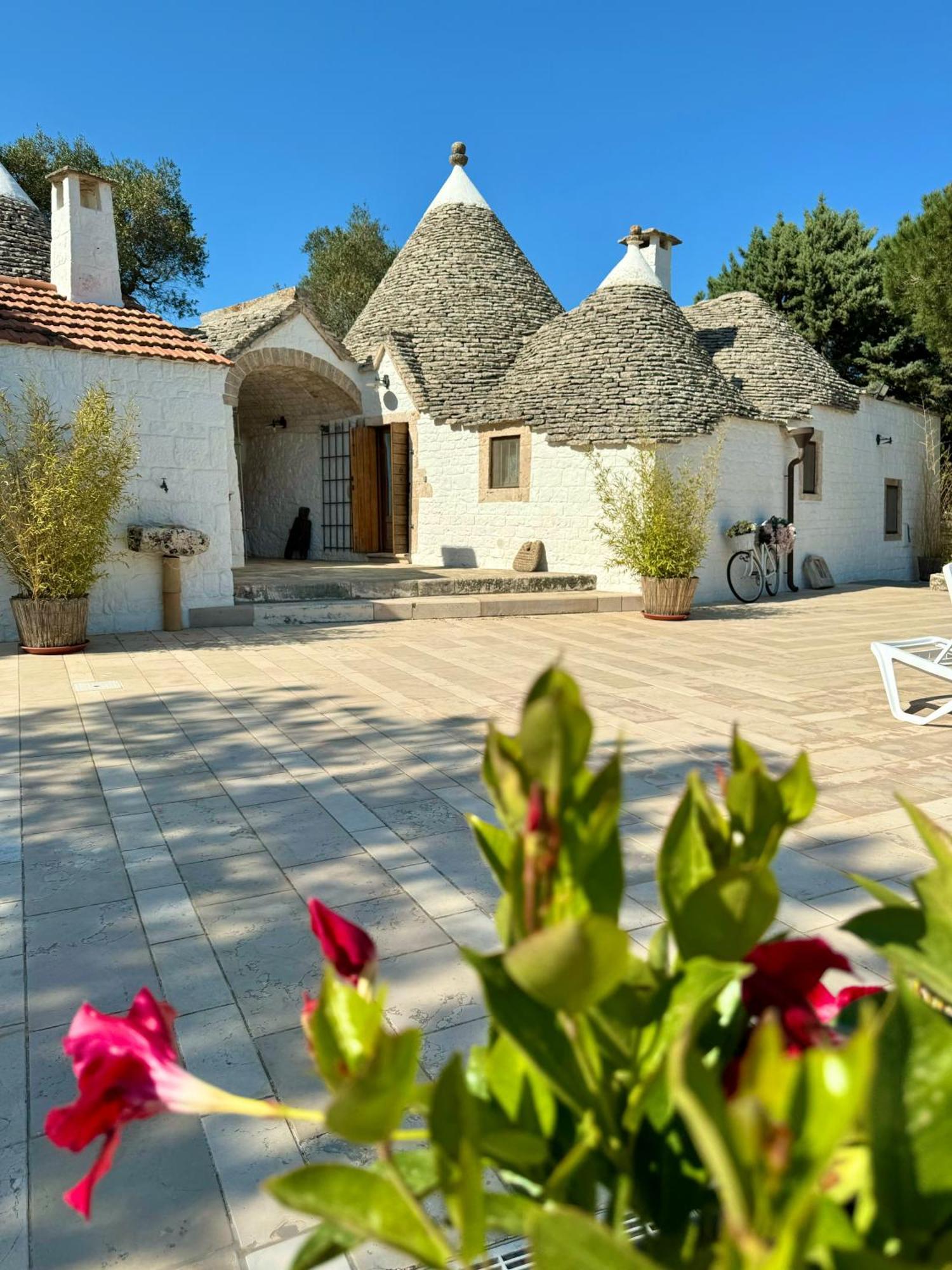 Ferienwohnung Trulli Bosco Selva Alberobello Exterior foto